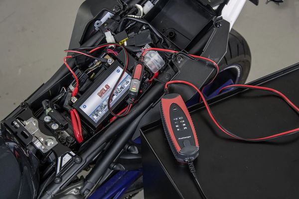 Procharger 1.000